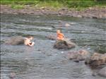 Sweden 2006-07 115